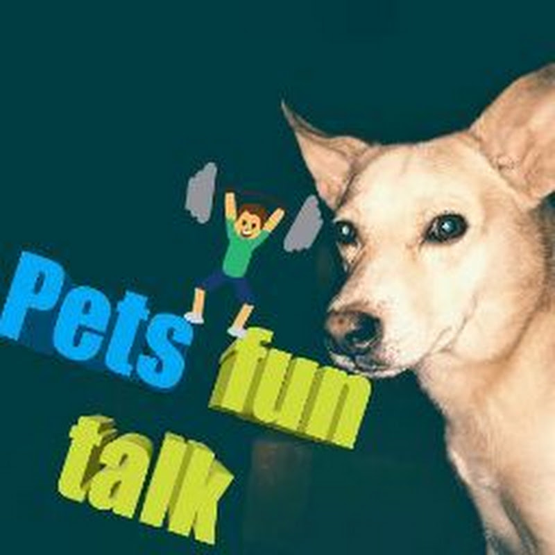 Pets fun talk avatar