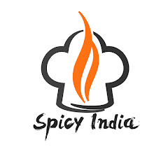 Spicy India net worth