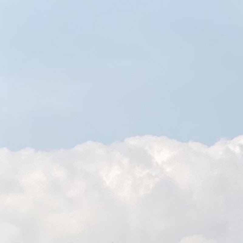 Doha도하
