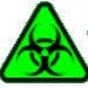 Igor Vetrov (virus) logo