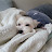 @박채린-c6u
