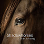Shadowhorses - Live an own story