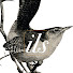 iP9N6BTfpEo-channel-avatar-Irish Literary Society