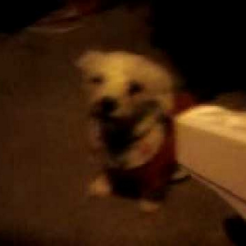 WilliamPancake