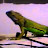 @StarstruckCowboy Avatar