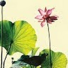 Lotus House