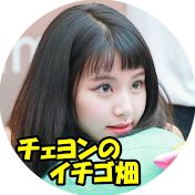 チェヨンのイチゴ畑
