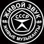 Vladimir Kuznetsov channel logo