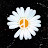 @zephthings Avatar