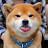 @shibainu8062