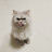 @user-tl5ih1bs2r