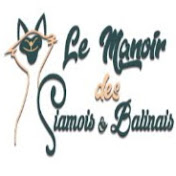 Chatterie-Cattery Le Manoir des Siamois & Balinais