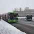 VCBo_sRDle8-channel-avatar-Csak egy buszos