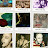 @thebottomband's avatar