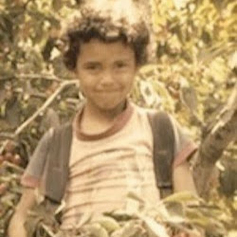 Martin Curiel