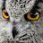 @mbhsug's avatar