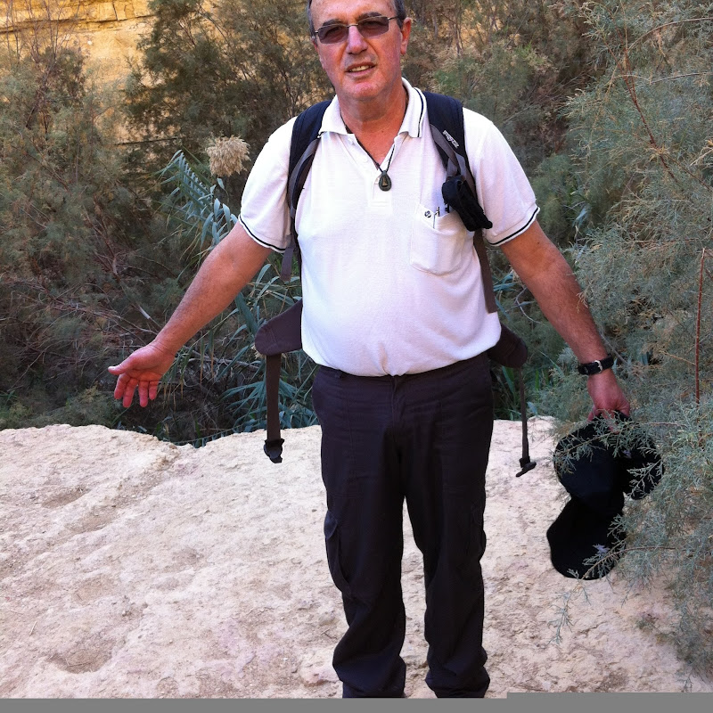Michael Gurman