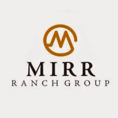 Thumbnail of related channel