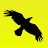 @CorvusCorax.