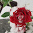 @woori1004cc