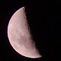 paelante