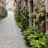 mc97dN1R1wY-channel-avatar-wettendassmallorca