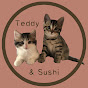 Teddy and Sushi logo