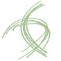 Occupational Therapy Board of New Zealand logo