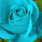 @عبدالرحمن-ك1ش1ل
