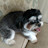 @dougboggs1868 Avatar