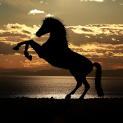 Horseman Channel