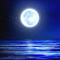 EzfDmBcWDVE-channel-avatar-月光共學