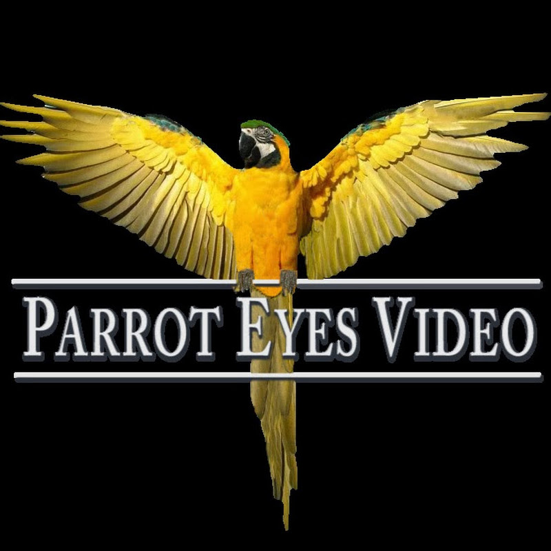ParrotEyesVideo