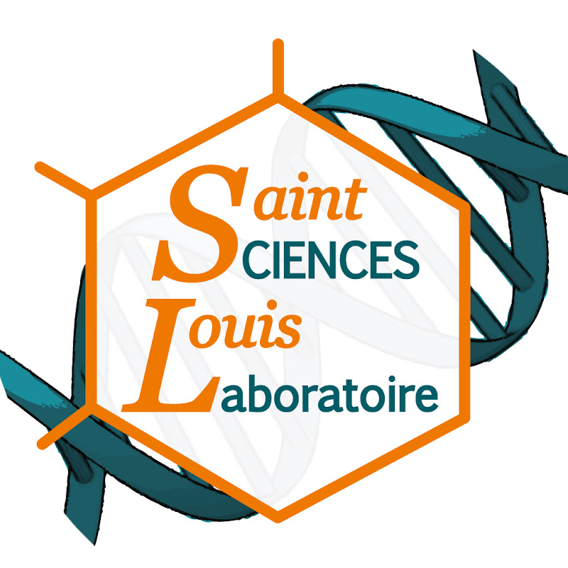 Lycée Saint Louis Bordeaux