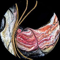 Niki D. Art net worth