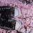 youtube avatar