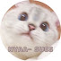 uRJvuFZIMqg-channel-avatar-Nyaa Subs