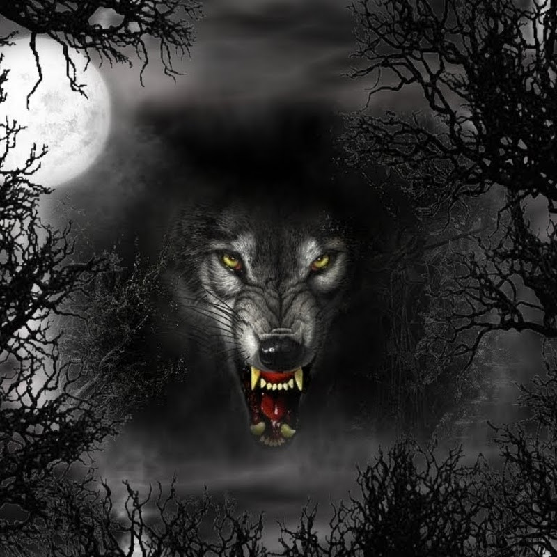 WolfGamerPack