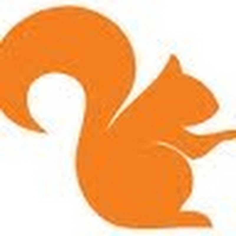 Wallet Squirrel