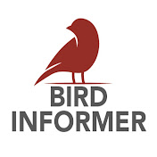 Bird Informer