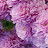 @user-so8ko2tv7v