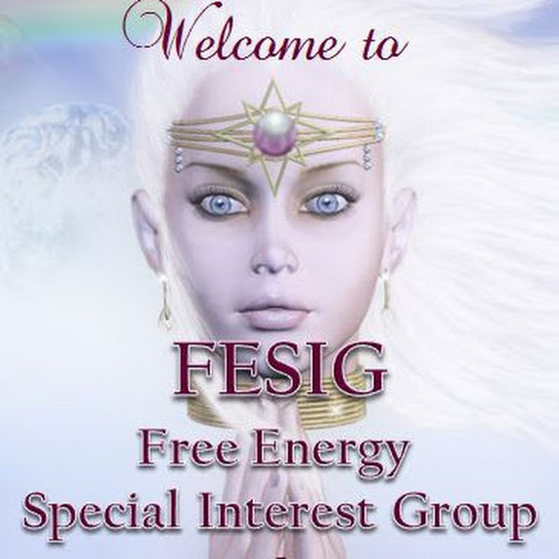 Free Energy Special Interest Group
