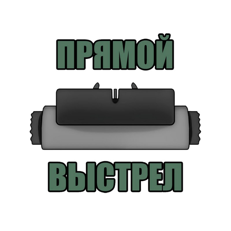 ПРЯМОЙ ВЫСТРЕЛ Logo