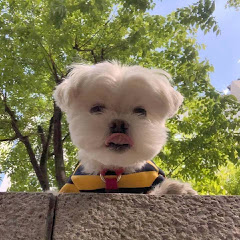 派大星アイコン画像