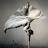 @IsauroGM's avatar