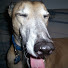 bFAwa-c9w2Q-channel-avatar-David W