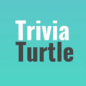 Trivia Turtle