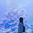 youtube avatar