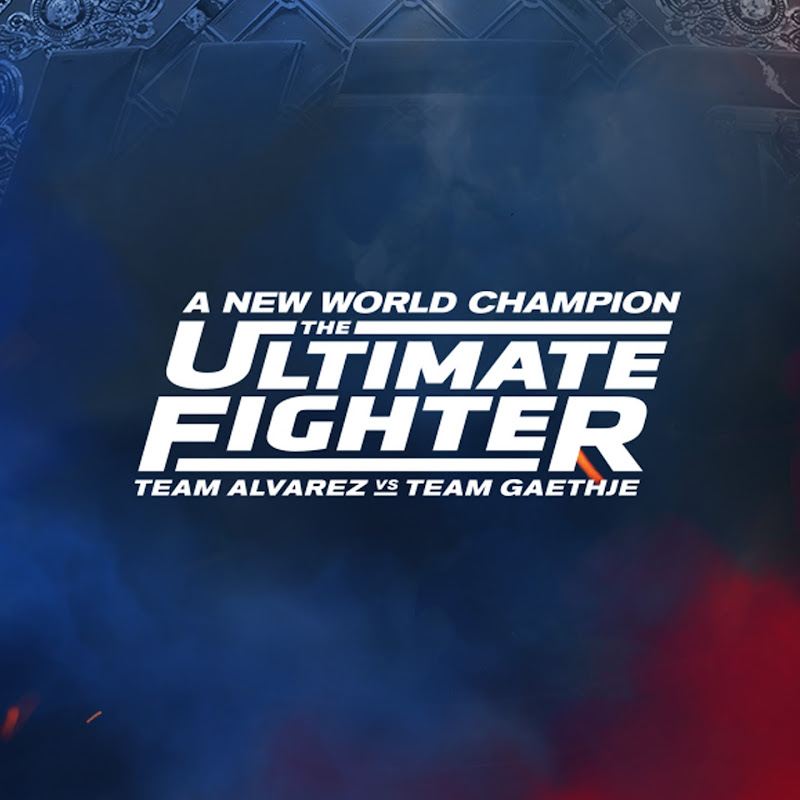 The Ultimate Fighter