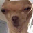 @holden811